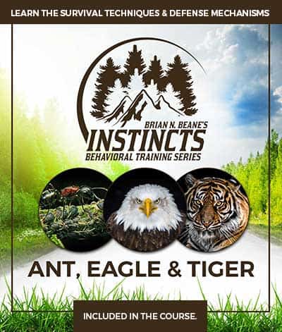 Instincts Series: Ant, Eagle, and Tiger